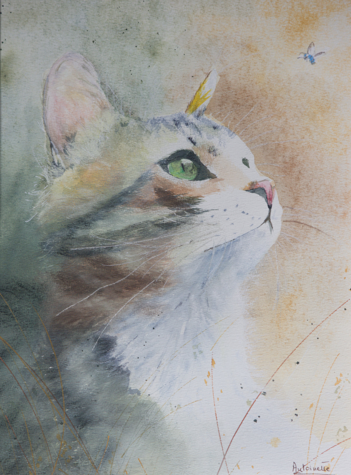 Le Chat, aquarelle originale représentant un chat aux yeux verts observant un petit insecte, 39 × 29 cm