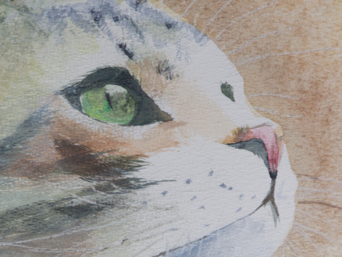 Le Chat